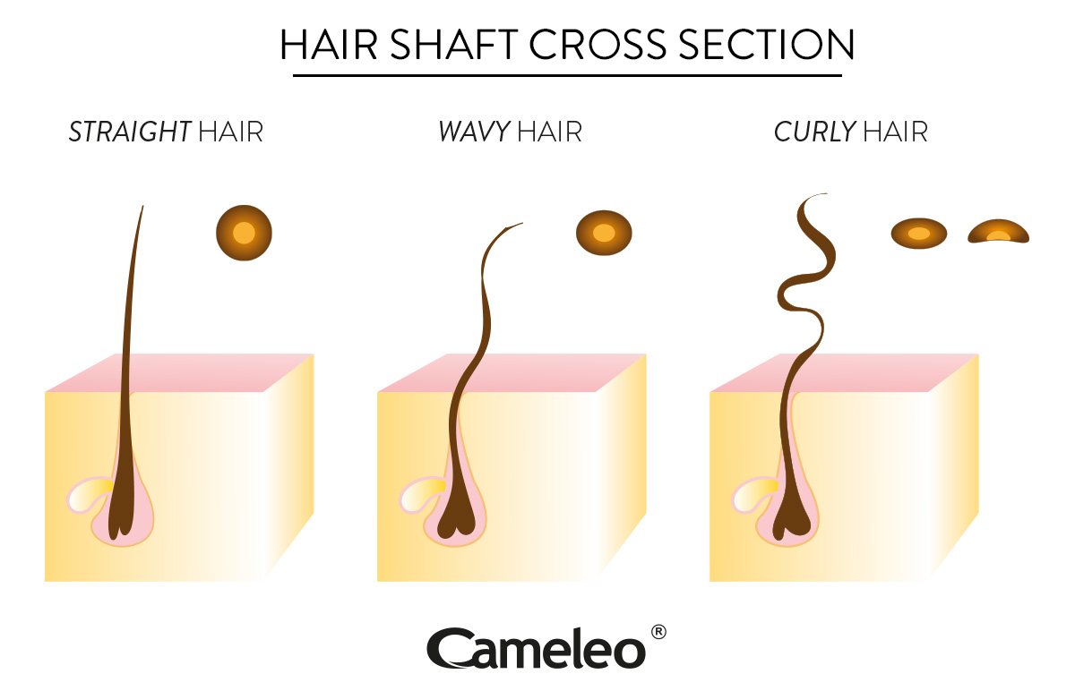 Curly or straight: What determines hair shape?