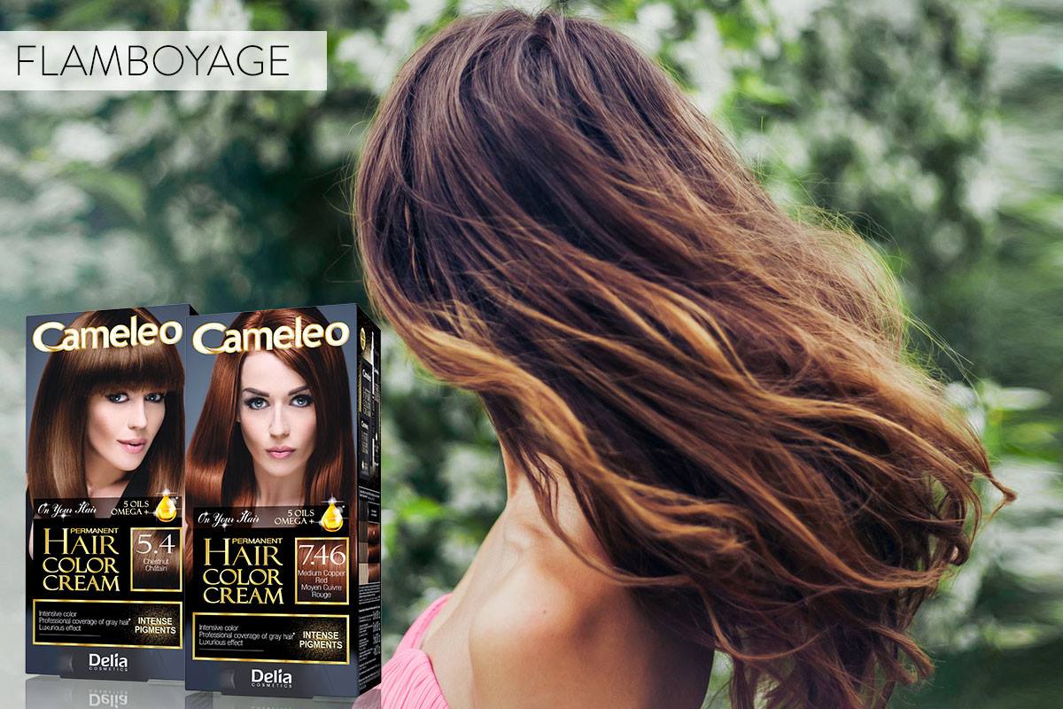 Hair color trends 2017 – Cameleo – Hair Change
