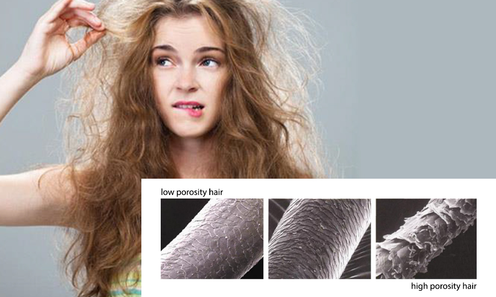 The Ultimate Guide to Hair Porosity For Curly Hair